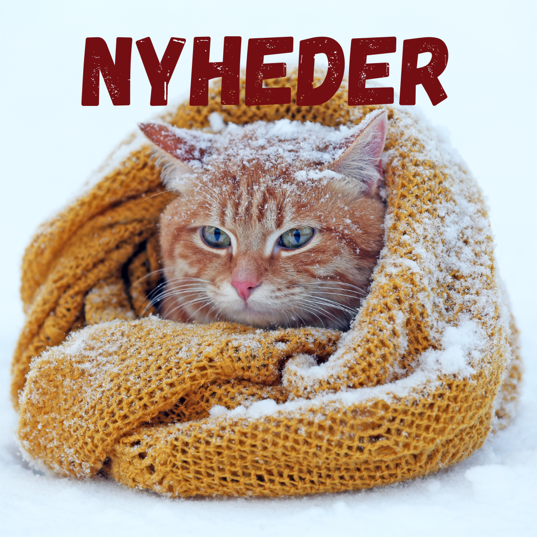 Nyheder